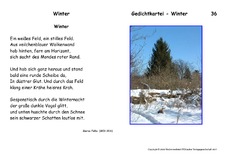 Winter-Falke.pdf